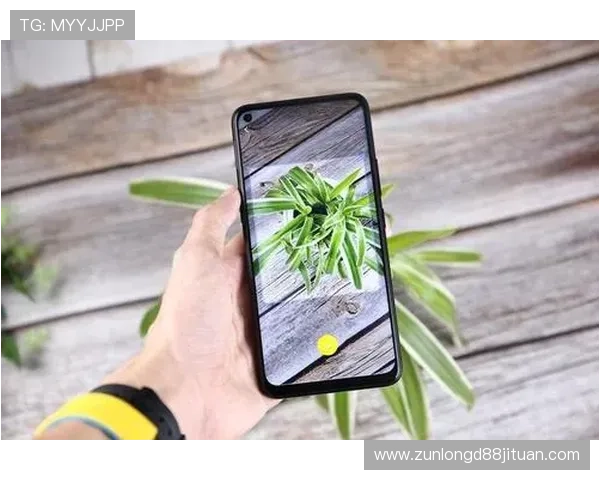 凯时app登录:确保账号安全的登录技巧与常见问题解答 凯时app登录:确保账号安全的登录技巧与常见问题解答