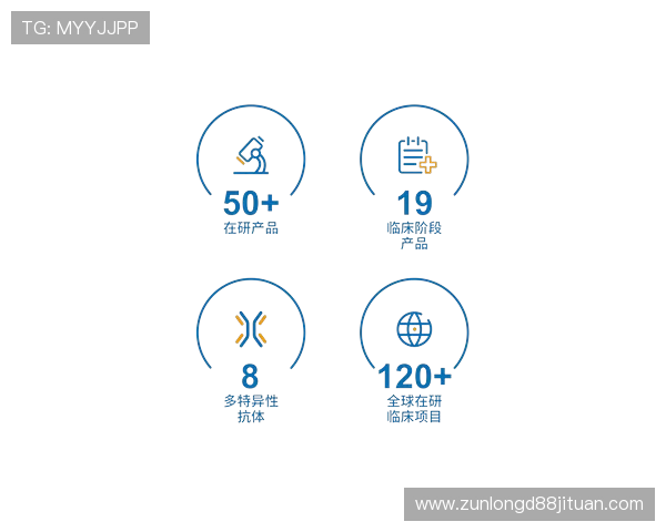 尊龙凯时平台免费版：全面解析免费版的功能优势与使用技巧