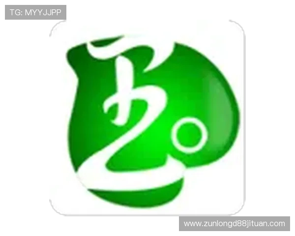 尊龙集团网页版登录入口最新指南，轻松实现账号安全快速登录