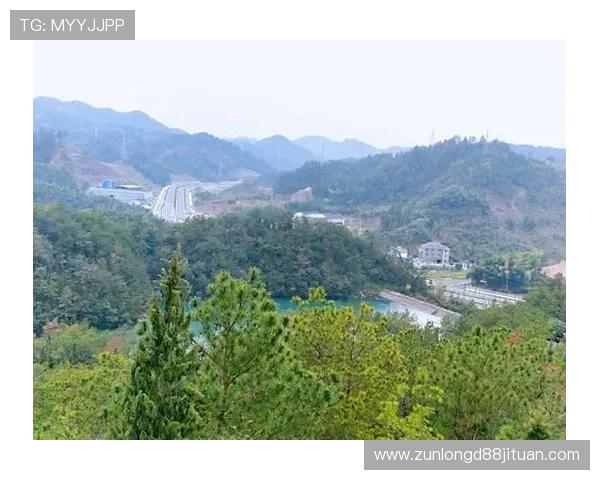 尊龙凯时 - 人生就是搏：在变革中寻找机遇，勇敢迎接人生的每一次挑战