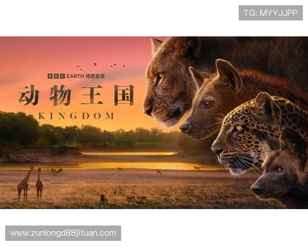 揭秘澳门尊龙游戏的魅力所在:如何在游戏中享受到极致的娱乐体验 揭秘澳门尊龙游戏的魅力所在:如何在游戏中享受到极致的娱乐体验