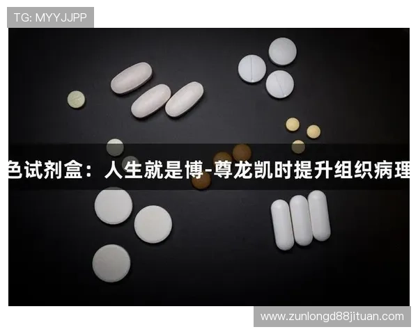 凯时尊龙人生就是博-评价：游戏画面品质与操作流畅度的详细用户评价报告